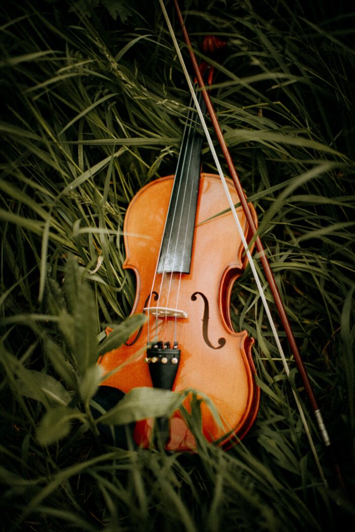 The Violin: A Timeless Symphony of History and Craftsmanship
